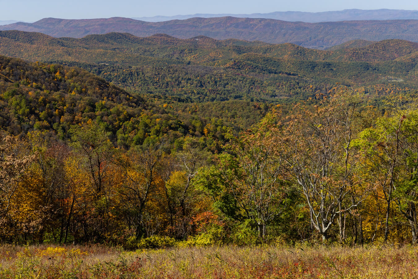 Spitler Knoll Overlook, Shenandoah National Park, Virginia | Photo Credit: NPS / Janet Rigoni
