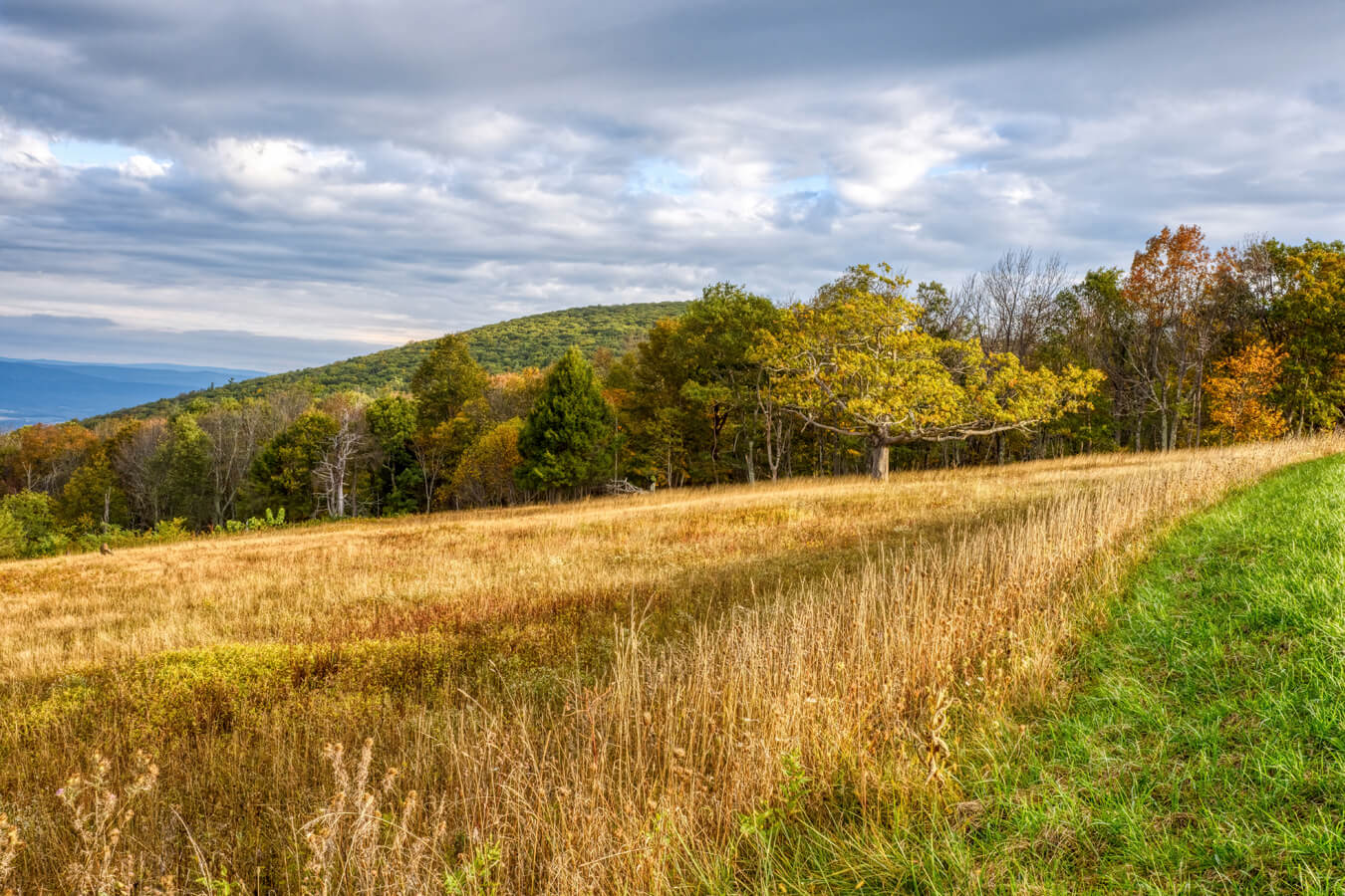 Tanners Ridge Overlook, Shenandoah National Park, Virginia | Photo Credit: NPS / Lara Ellis