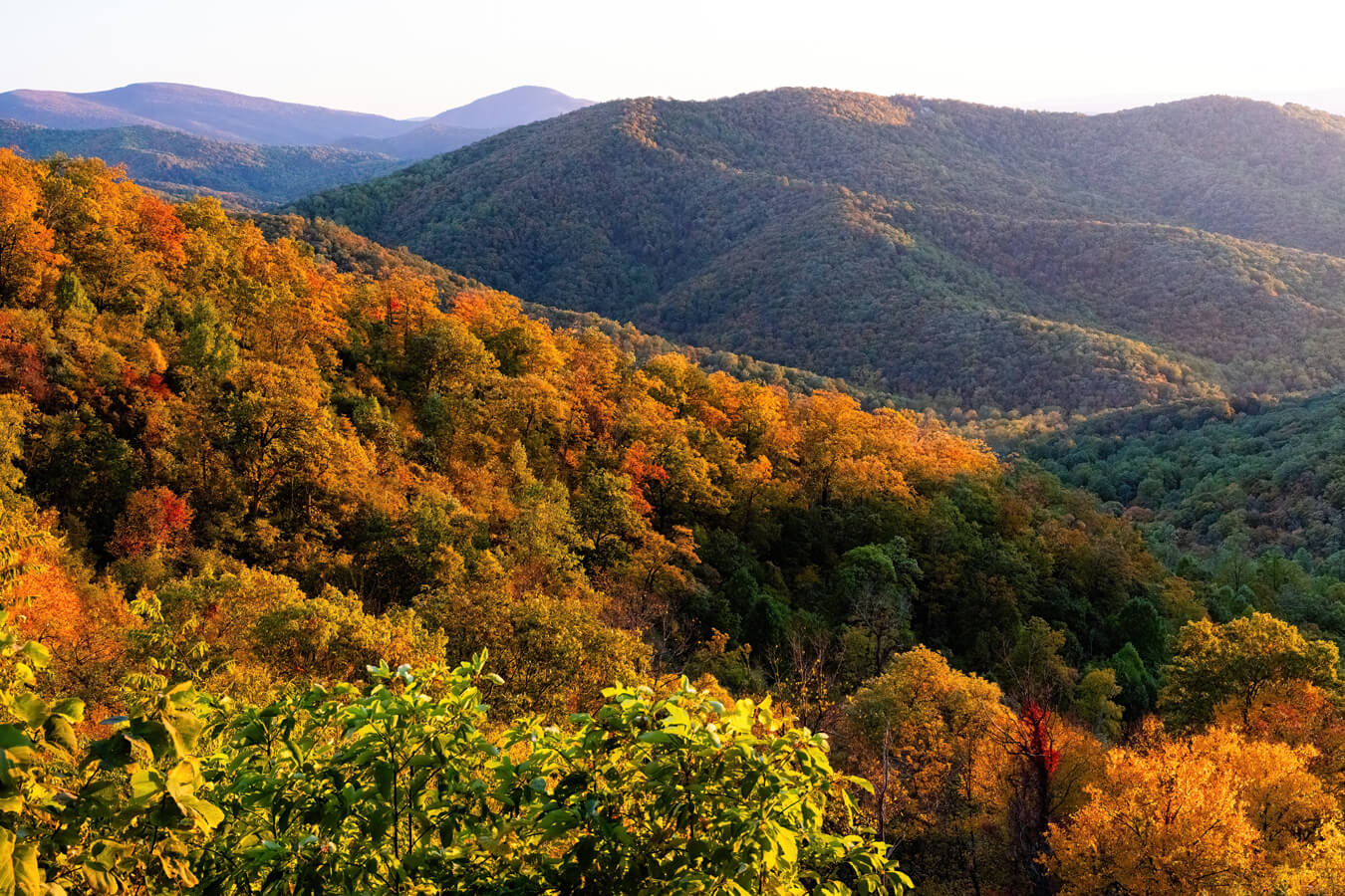 Tunnel Overlook, Shenandoah National Park, Virginia | Photo Credit: NPS / Janet Rigoni