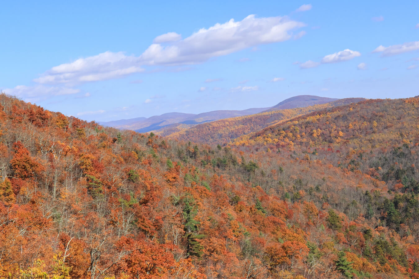 Two Mile Run Overlook, Shenandoah National Park, Virginia | Photo Credit: NPS / Erica Stevens