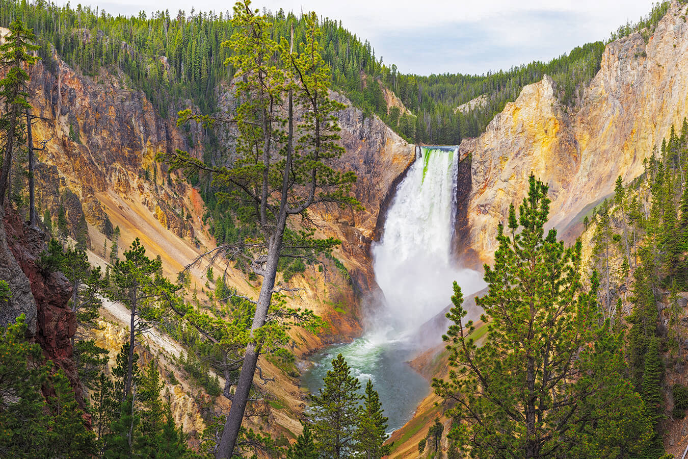 Lower Falls, Red Rock Point, Yellowstone National Park, Wyoming | Photo Credit: John Freeman