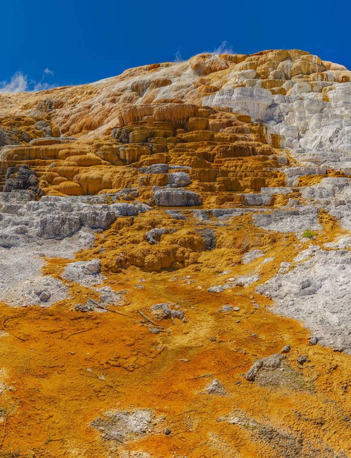 Mammoth Hot Springs – Lower Terrace