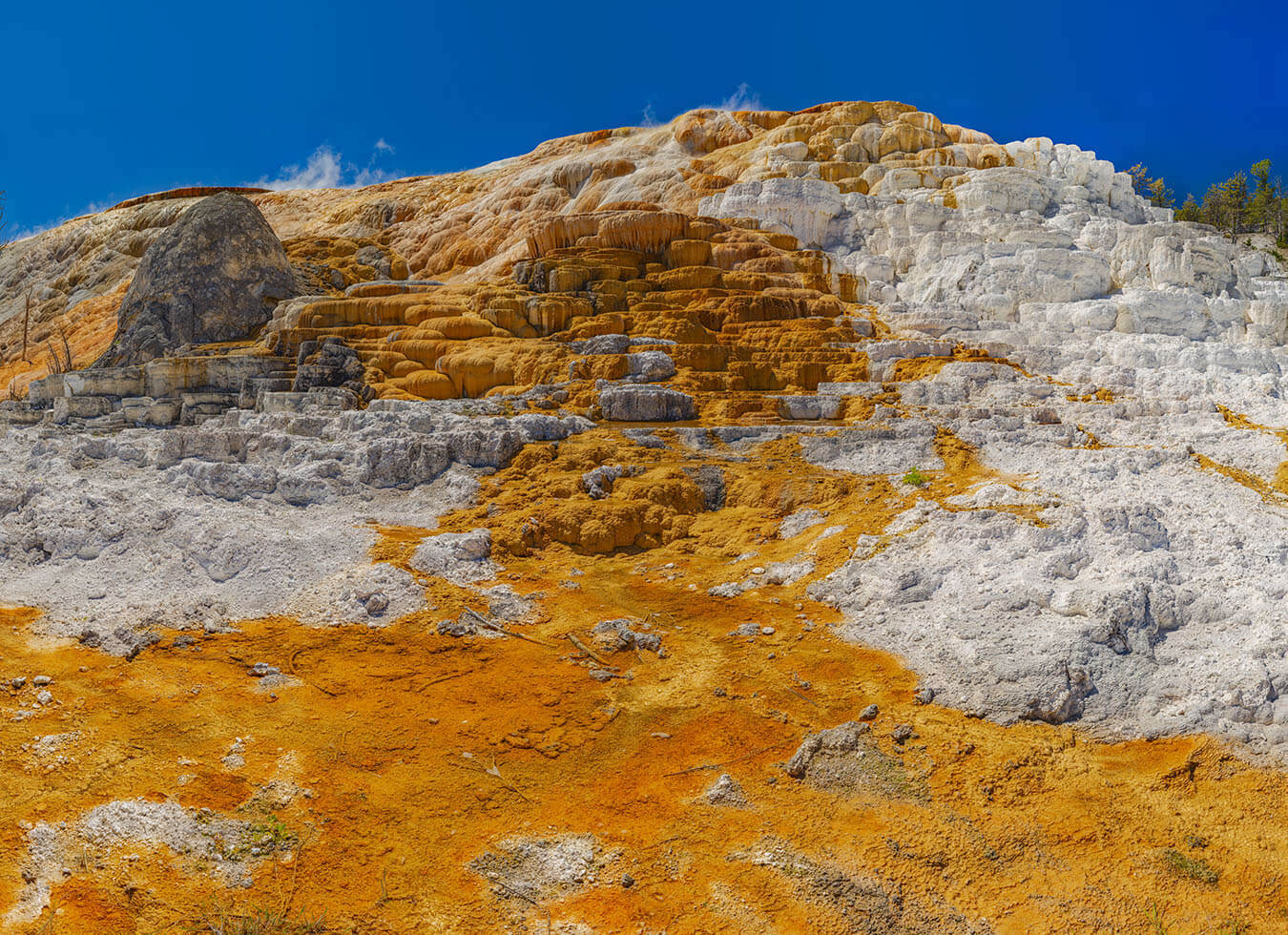 Mammoth Hot Springs, Lower Terrace, Yellowstone National Park, Maine | Photo Credit: John Freeman