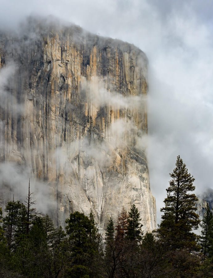 El CapitanYosemite National Park 