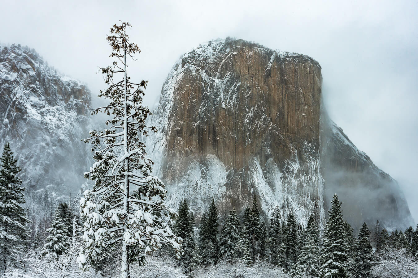 El Capitan, Yosemite National Park, California | Photo Credit: Tom Wagner