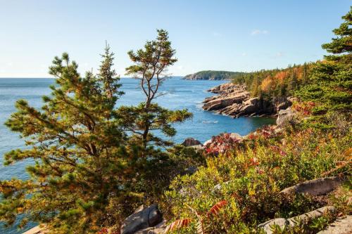 Ocean Path, Acadia National Park