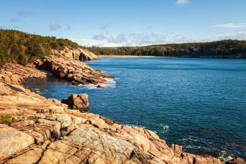 Ocean Path, Acadia National Park