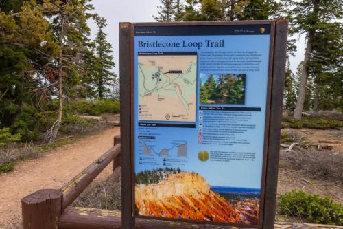 Bristlecone Loop Trail, Bryce Canyon National Park, Utah | Photo Credit: Vezzani Photography