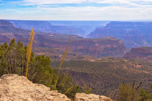 Crazy Jug South Eastern View, North Rim, Grand Canyon National Park