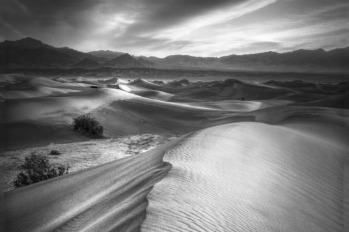 Mesquite Flat Sand Dunes