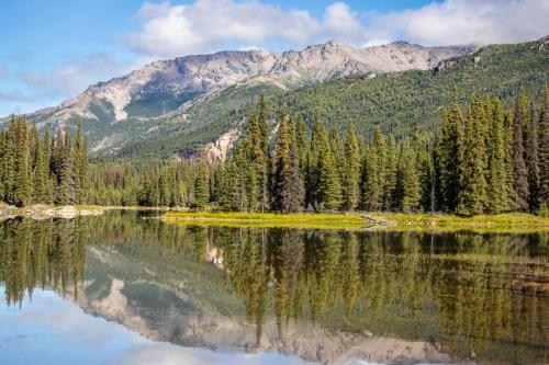 Horseshoe Lake, Denali National Park  Preserve