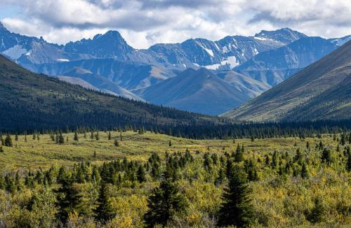 Mountain Vista Trail, Denali National Park and Preserve