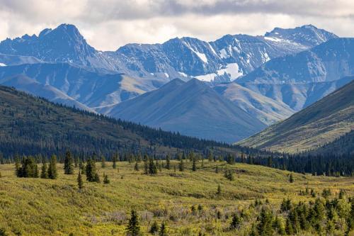 Mountain Vista Trail, Denali National Park and Preserve