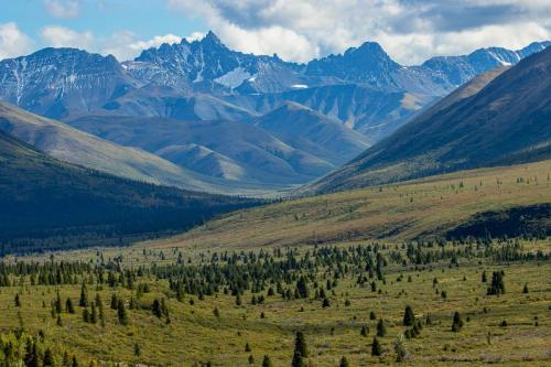 Mountain Vista Trail, Denali National Park and Preserve