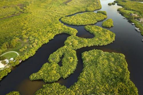 Everglades Wilderness Waterway