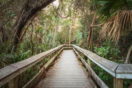 Mahogany Hammock Trail, Everglades National Park