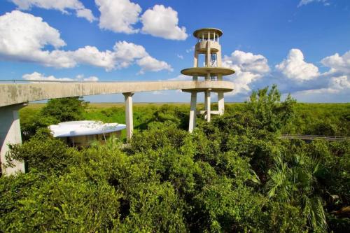 Shark Valley Observation Tower