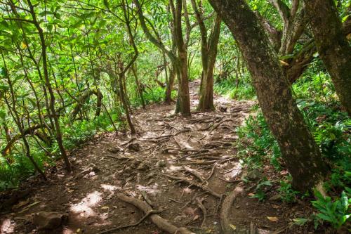 Pīpīwai Trail, Haleakalā National Park