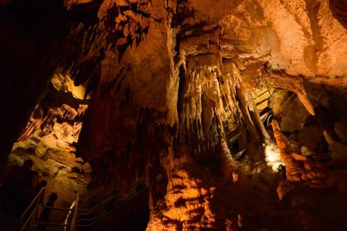 Mammoth Cave Tours