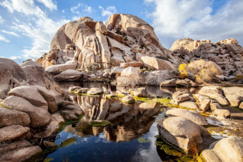 Must-see Locations at Joshua Tree National Park-1-4