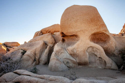 Must-see Locations at Joshua Tree National Park-1-8