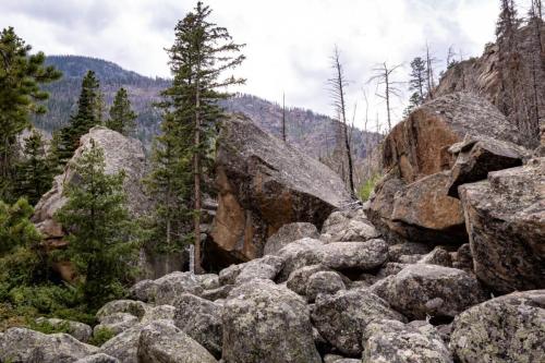 Arch Rocks Campground, Rocky Mountain National Park, Colorado | Photo Credit: Juventa Vezzani