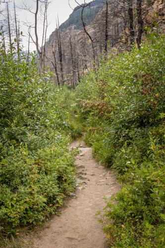 Arch Rocks Hike, Rocky Mountain National Park, Colorado | Photo Credit: Juventa Vezzani