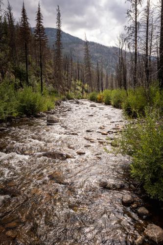 Arch Rocks Hike, Big Thompson River, Rocky Mountain National Park, Colorado | Photo Credit: Juventa Vezzani