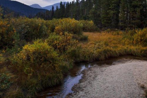 Beaver Ponds