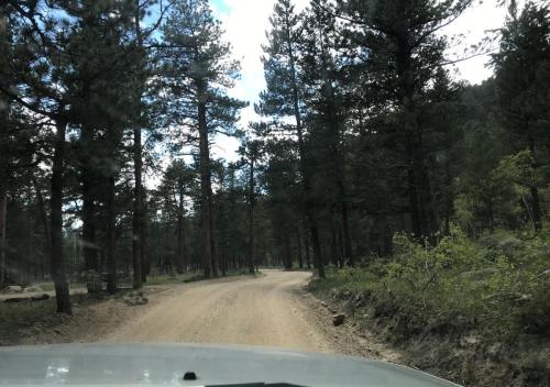Road Leading to the Wild Basin Area and Copeland Falls Hike, Rocky Mountain National Park, Colorado | Photo Credit: Juventa Vezzani