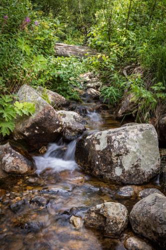 Copeland Falls Hike, North St. Vrain Creek, Rocky Mountain National Park, Colorado | Photo Credit: Juventa Vezzani
