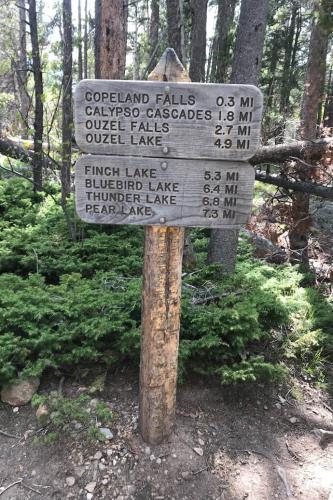 Copeland Falls Hike, Rocky Mountain National Park, Colorado | Photo Credit: Juventa Vezzani