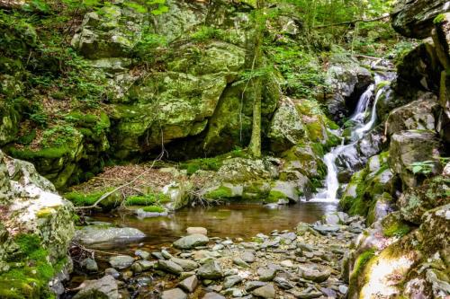 Cedar Run Trail