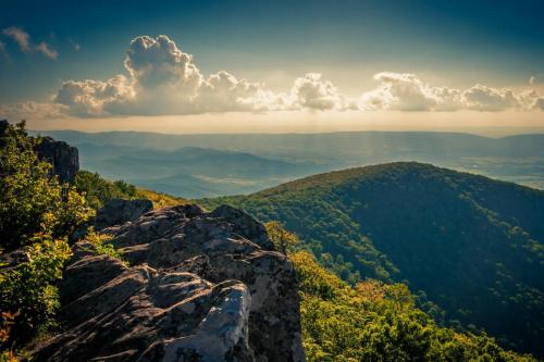 Hawksbill Summit