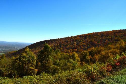 Jenkins Gap Overlook