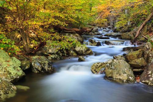 Whiteoak Falls (Lower)