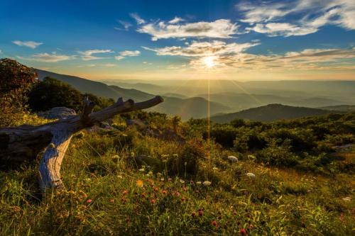 Timber Hollow Overlook