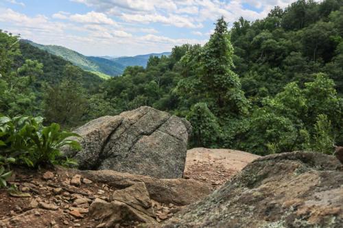 Whiteoak Canyon