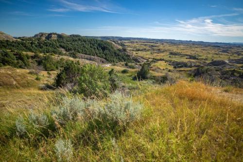 Boicourt Overlook