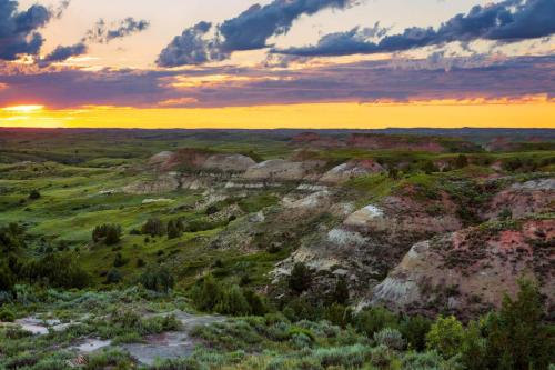 Petrified Forest Loop Trail