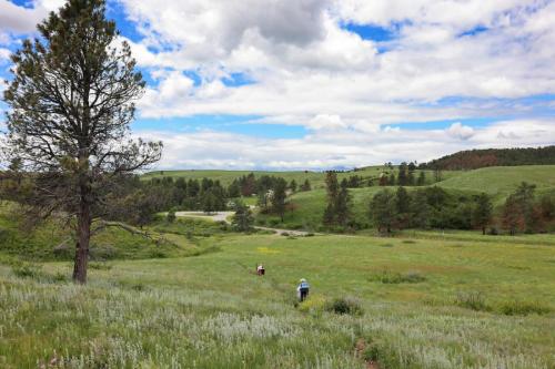 Prairie Vista Trail