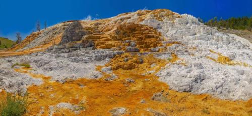 Mammoth Hot Springs, Lower Terrace, Yellowstone National Park, Maine | Photo Credit: John Freeman