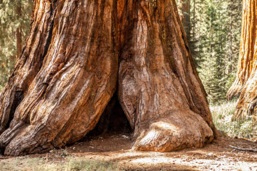 Yosemite in the fall-1-2